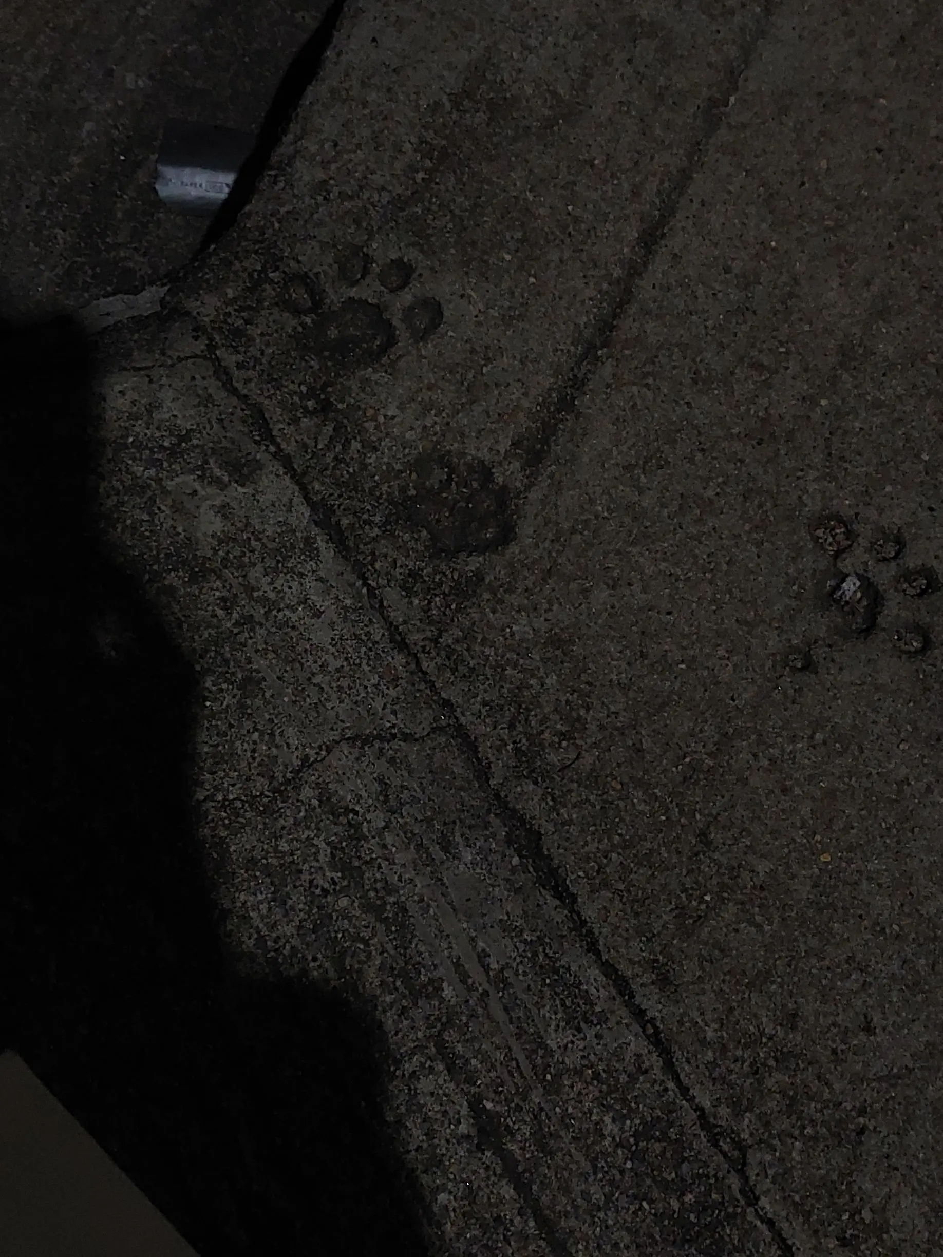 AcridMoss6584의 신이준