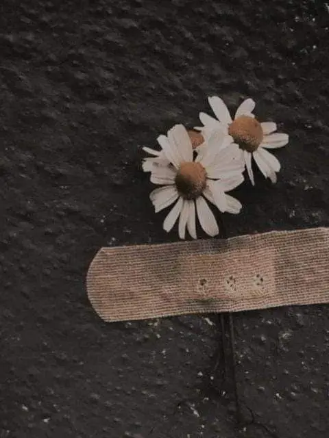 8Io8lo8lome의 권지용