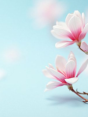 " 곧 터지는 함성 " 대표 이미지