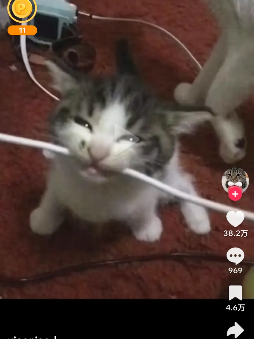 TartMeat2493의 P18❤︎バレンタイン🍫