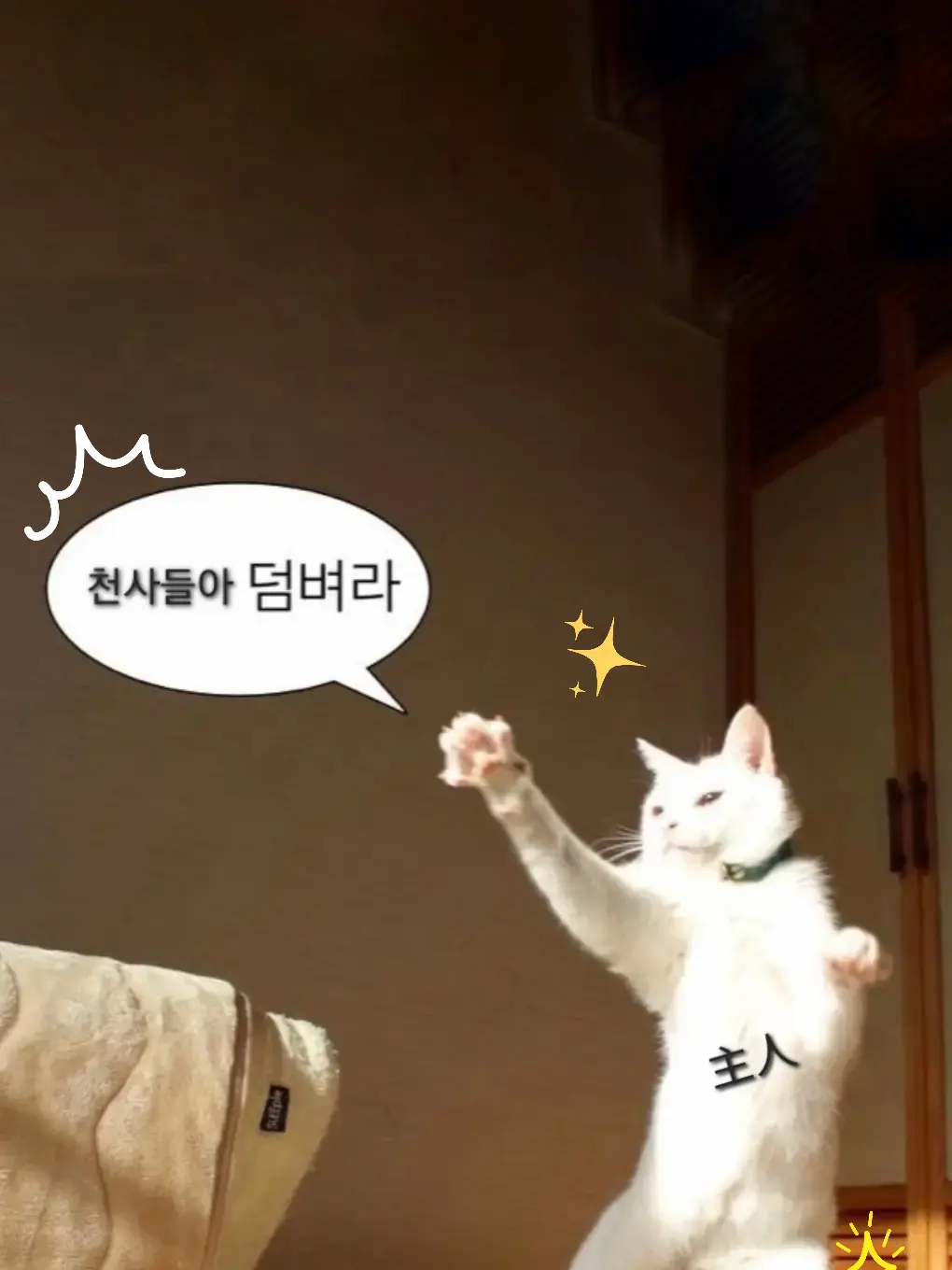 LinearOven2841의 아쿠네코 네임버스