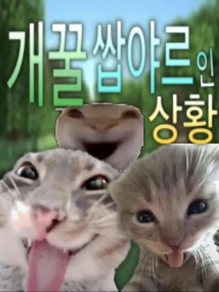 dkslanjsekwndqhrdlfo의 고기내노아주새요아져씨