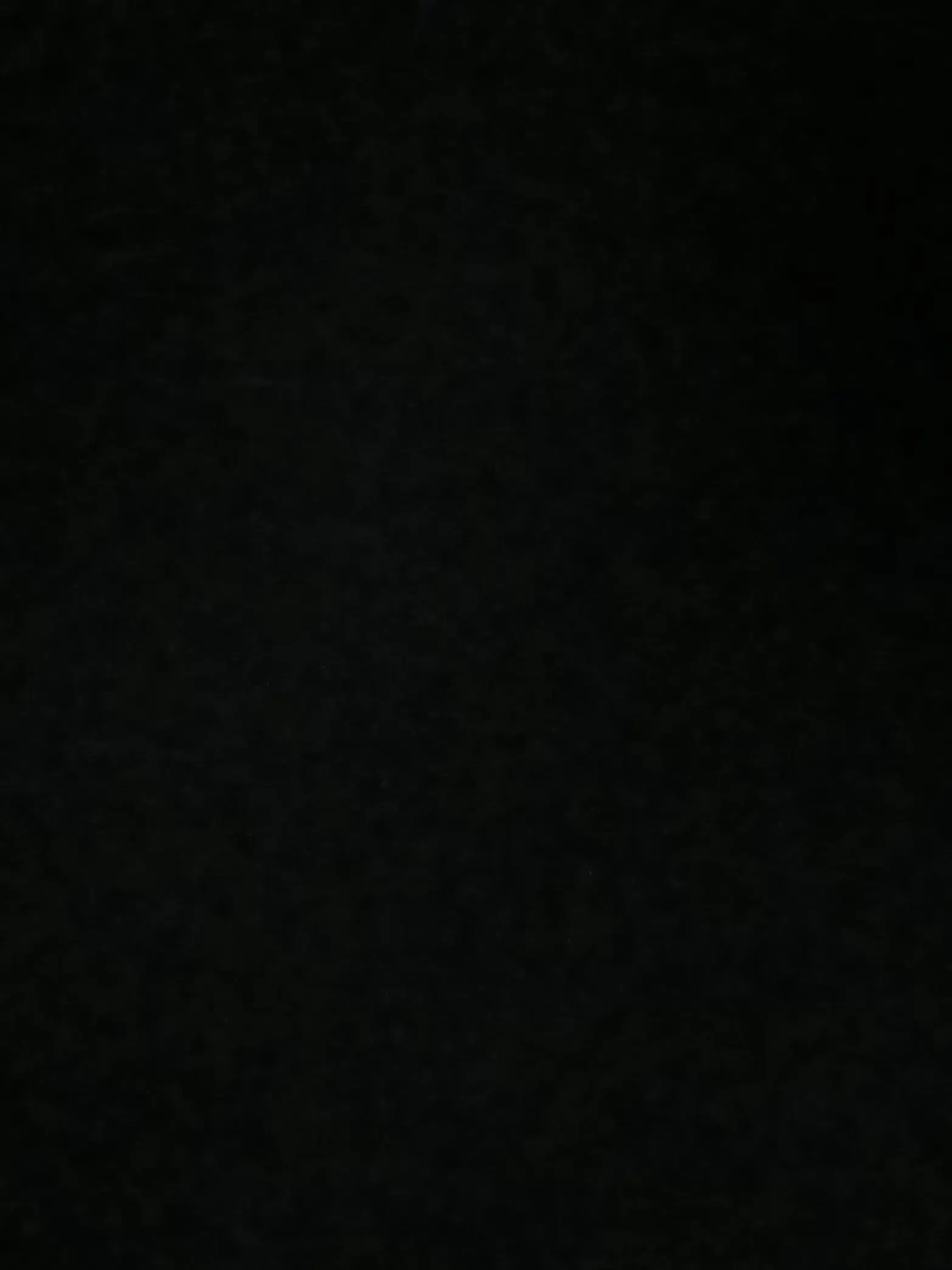 StableLeg4770의 잭