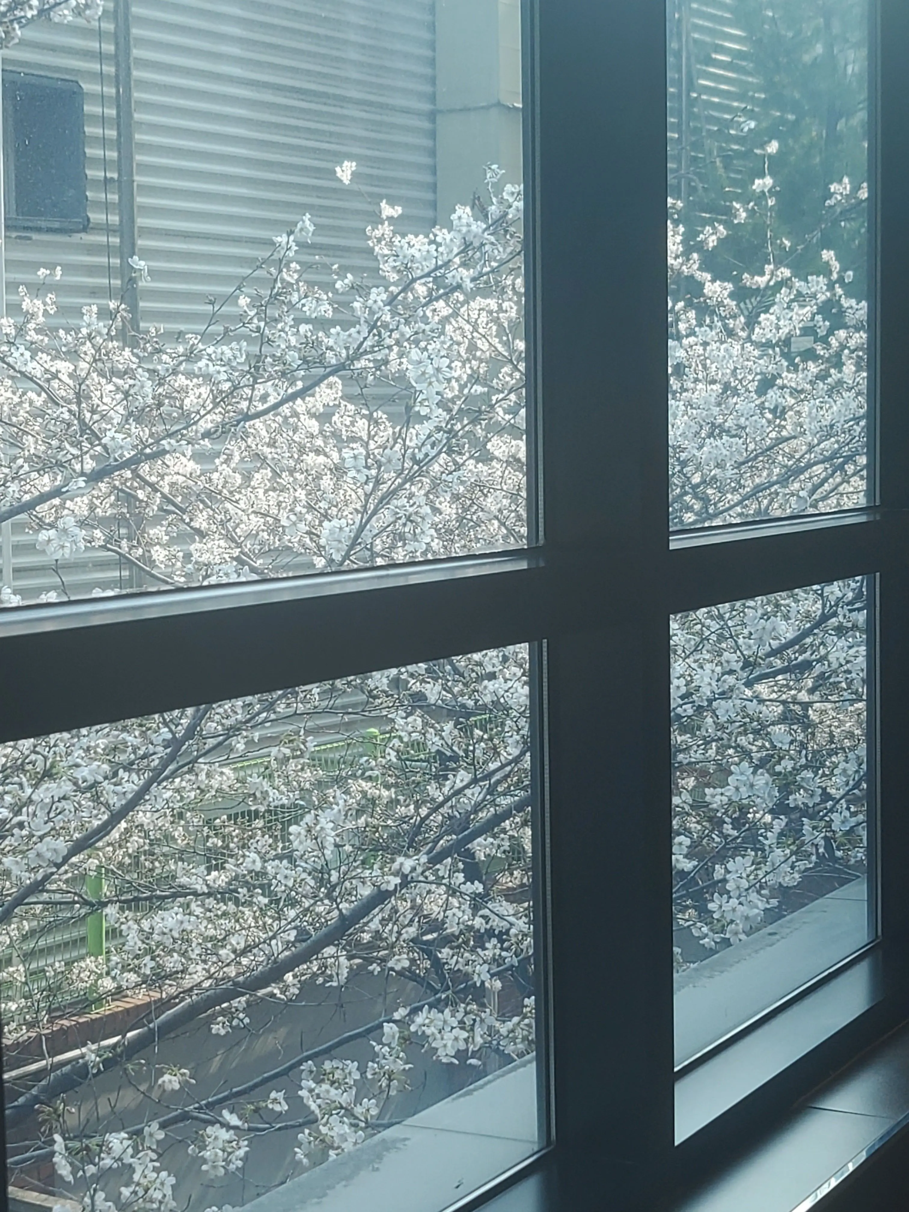 01058527658noah의 몰라 ㅗ