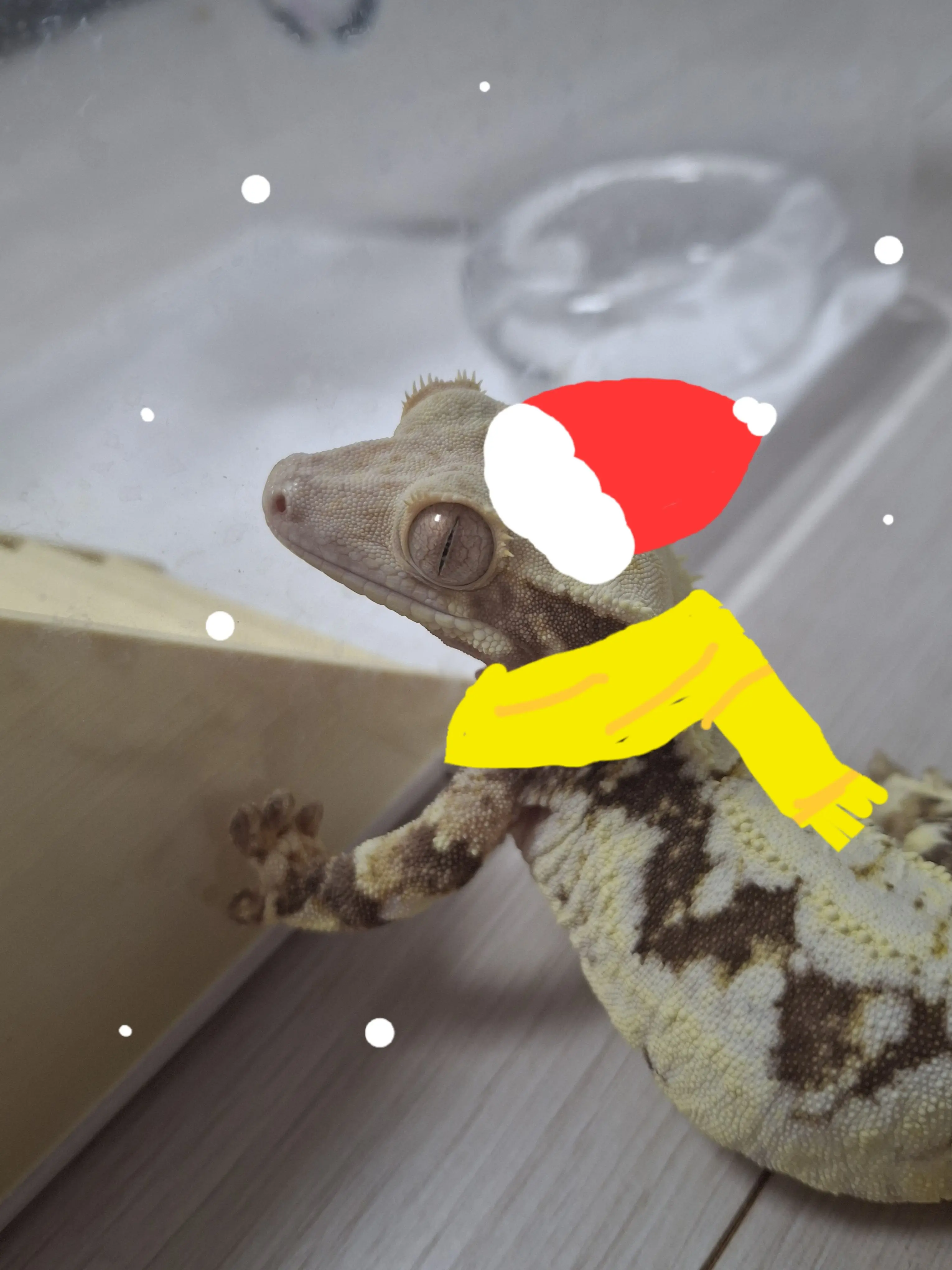 RearJeans6729의 마뱀이 카페