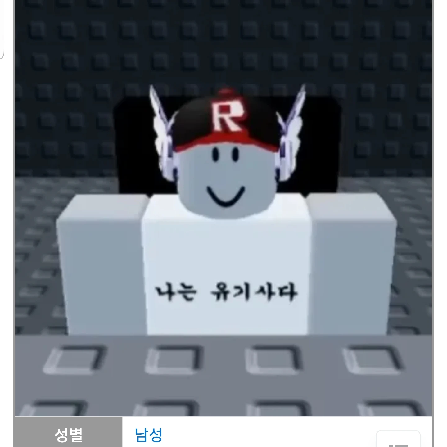 인권유린상자에 갇힌 유기사와 벨키