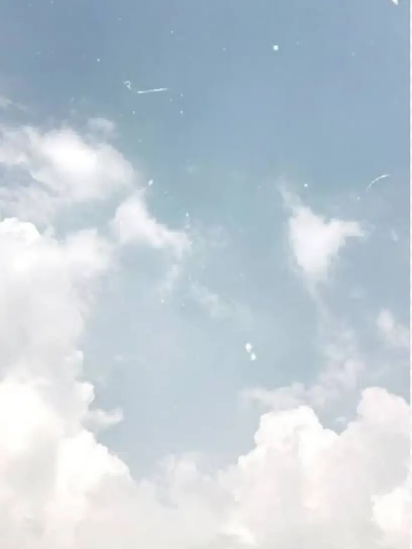 CrispCoati7617의 七不思議って知ってる？