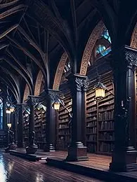 Notaghost의 Midnight Library