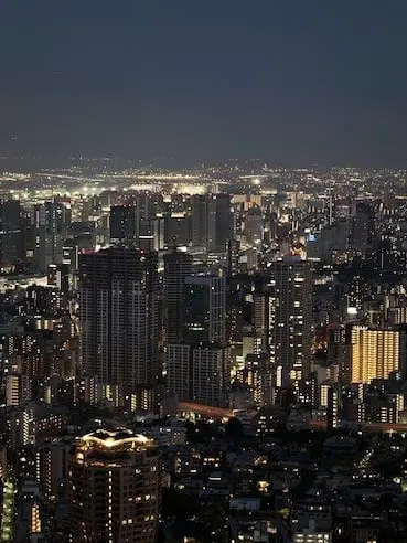 guggug0808의 싸움의 세계