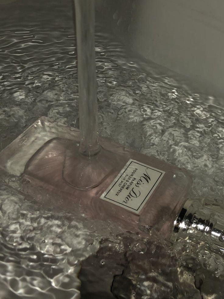ㅤ 대표 이미지