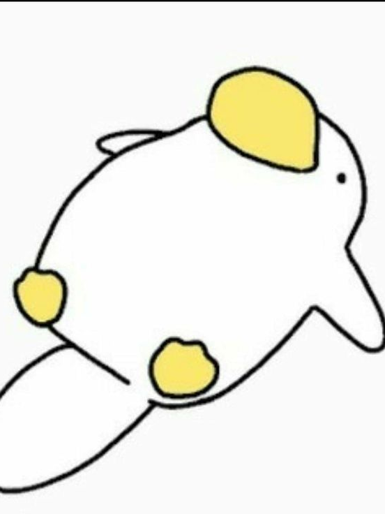 동물 대표 이미지