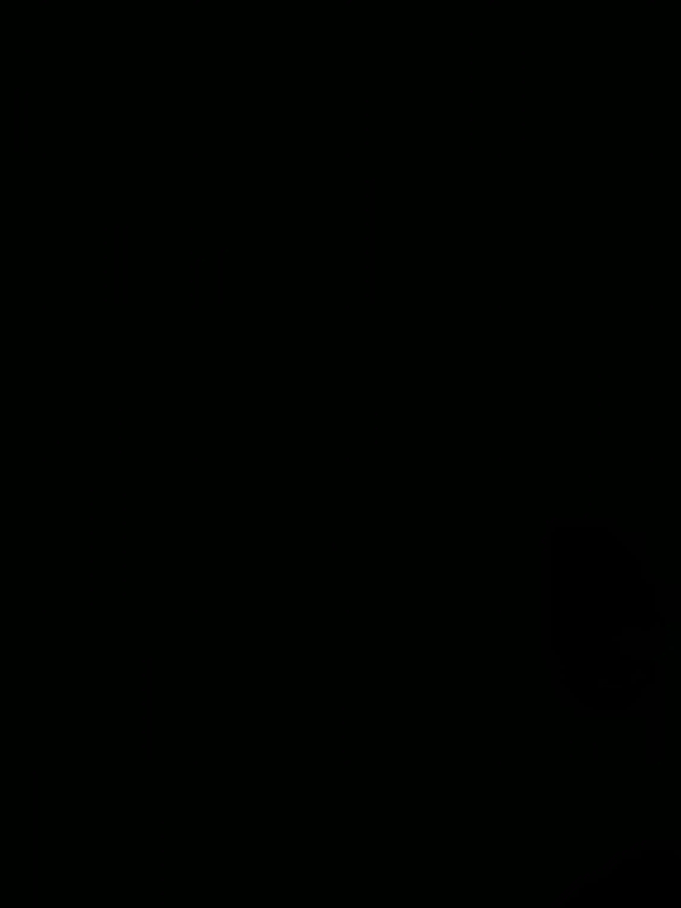 yuqi923의 애니,베일리