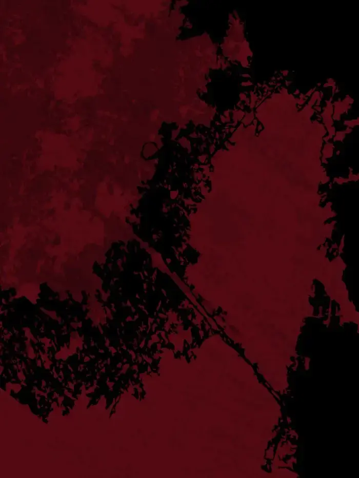 ichigomilk_1539의 【BL】ヤンデレなMBTI