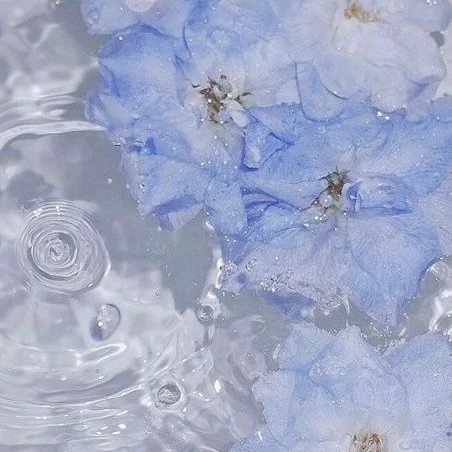 연이시점 싸이코드 (수인이 되어보자)