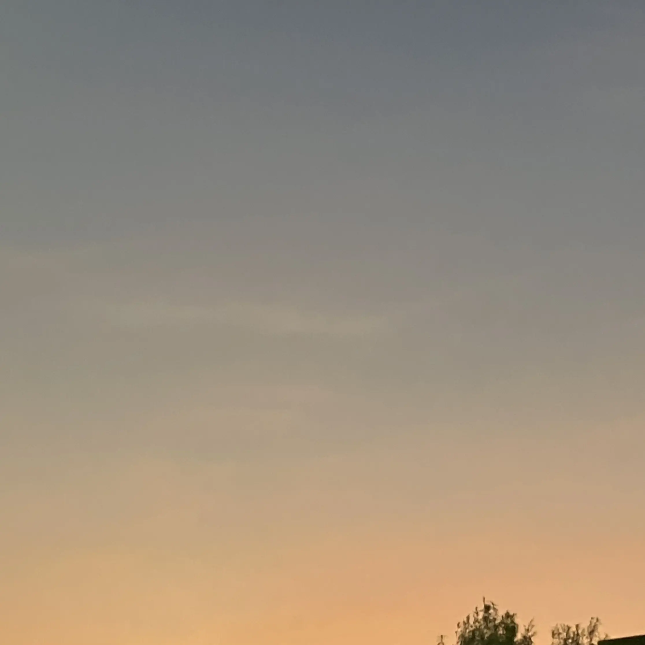 RaspyFleet2711의 アイドルの彼はホストでした