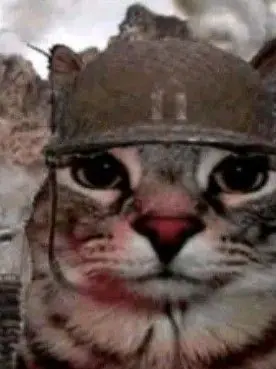 FaintCumin7338의 何やってるんですか？征服してください！