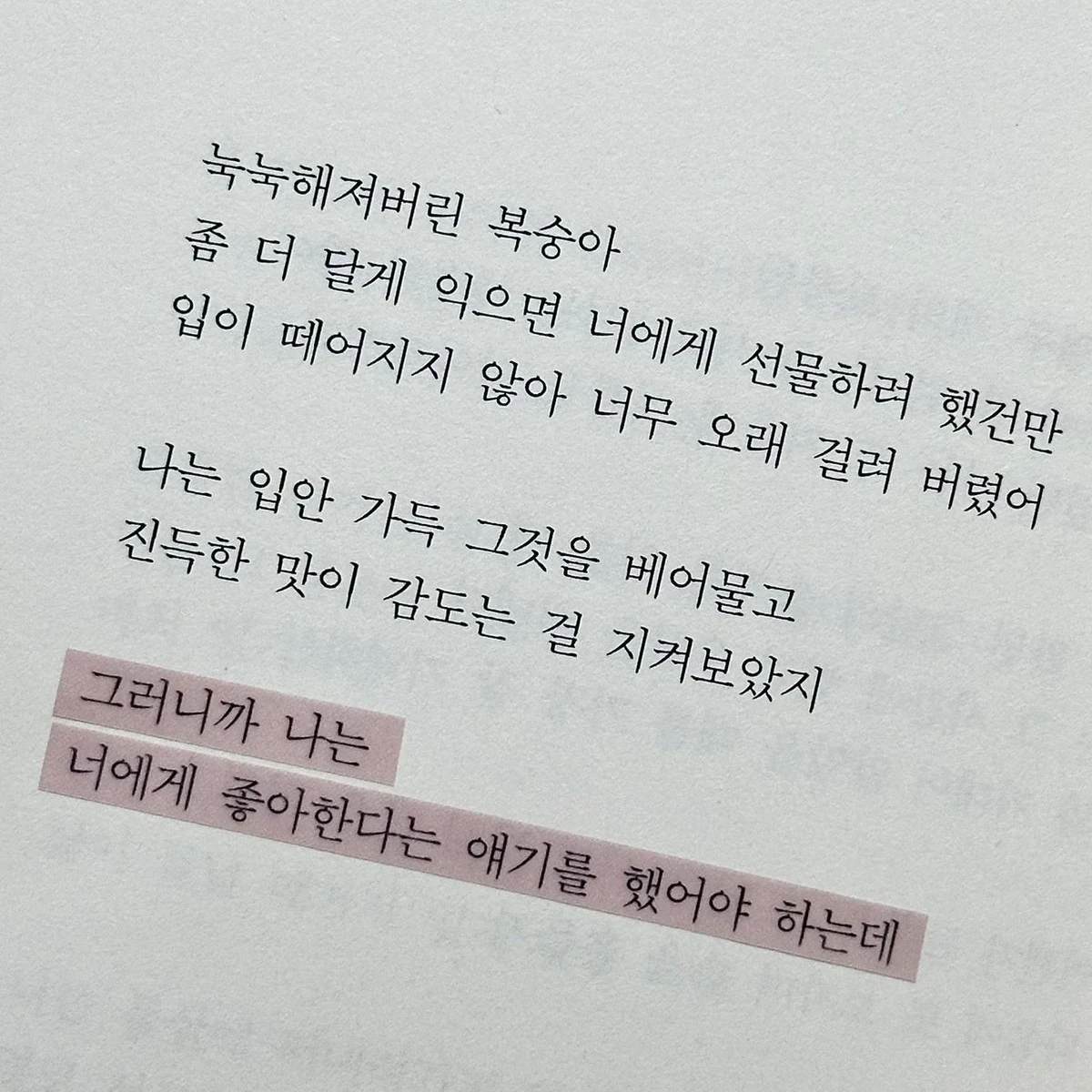 널 좋아해 아주 많이