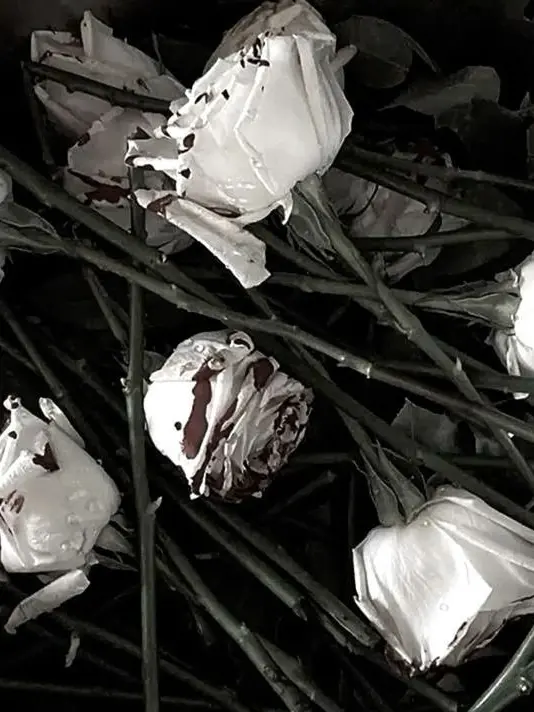 P0oroo._.의 𝑯𝒂𝒔𝒔𝒍𝒊𝒆𝒃𝒆