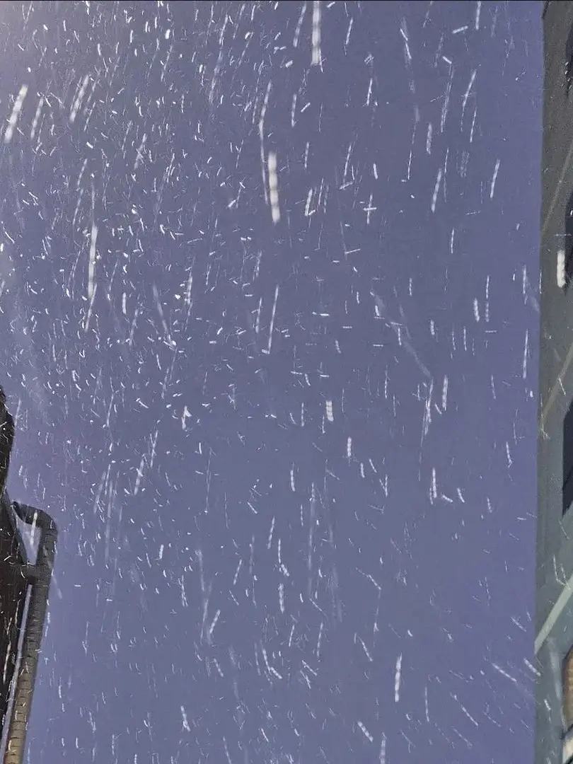 yunichoe147의 ☃️❄️첫눈 내리는 미수반❄️☃️