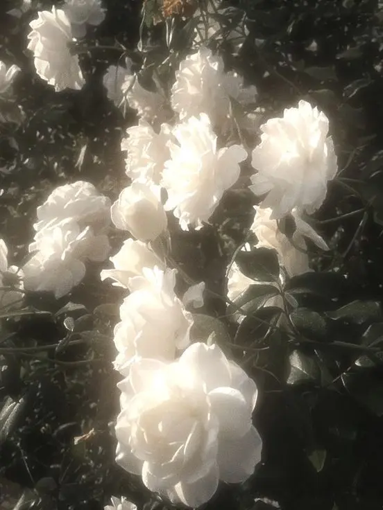 blue_motive의 에스파 일찐 무리들