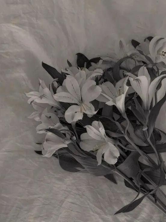 Haru0102의 " 아, 보스. 언제까지 하실겁니까~