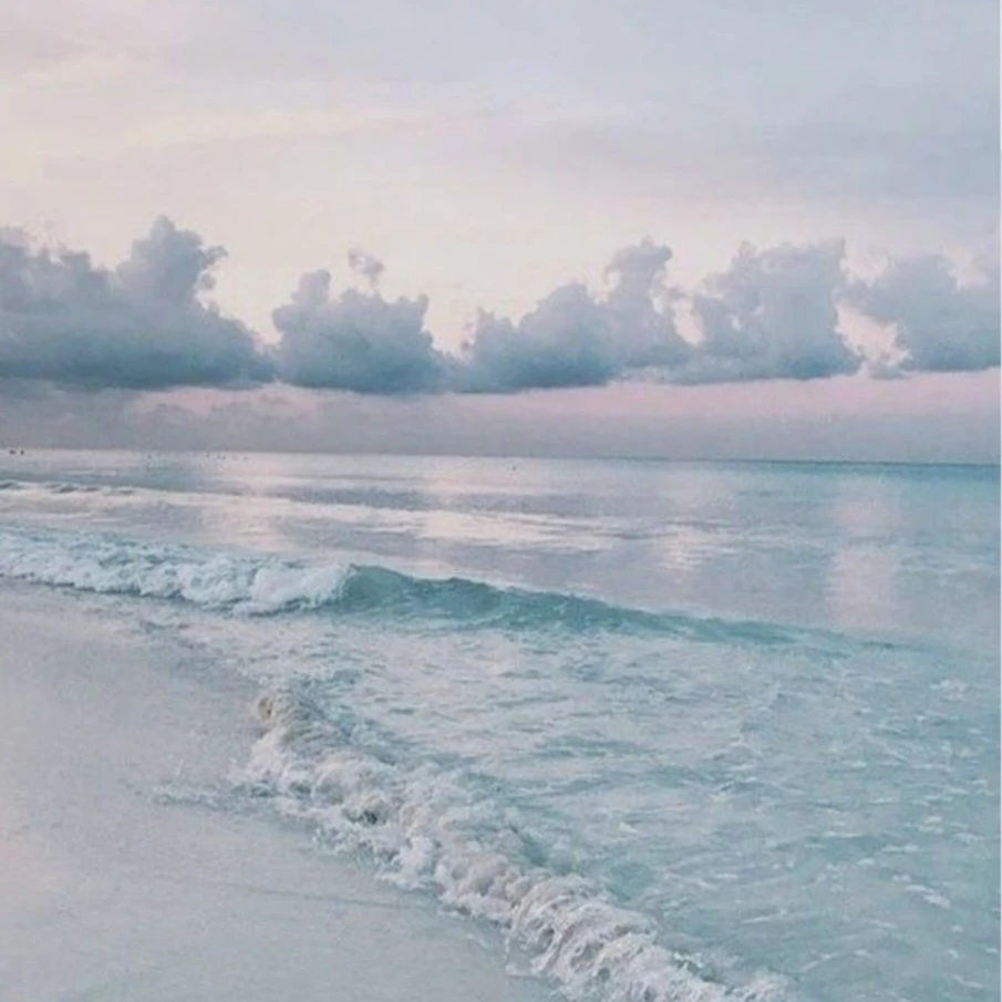 {{우당탕탕 소닉 일행들과 동거}}