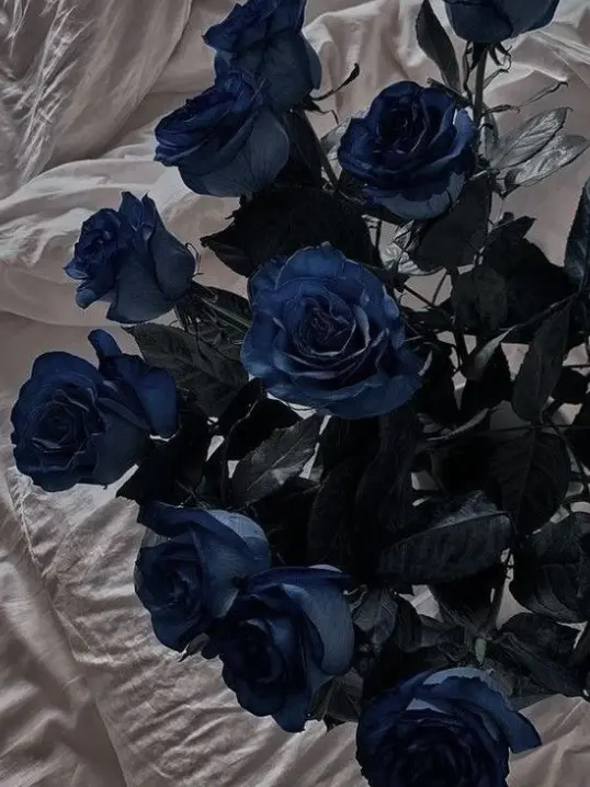 Mt_000의 解いてください .