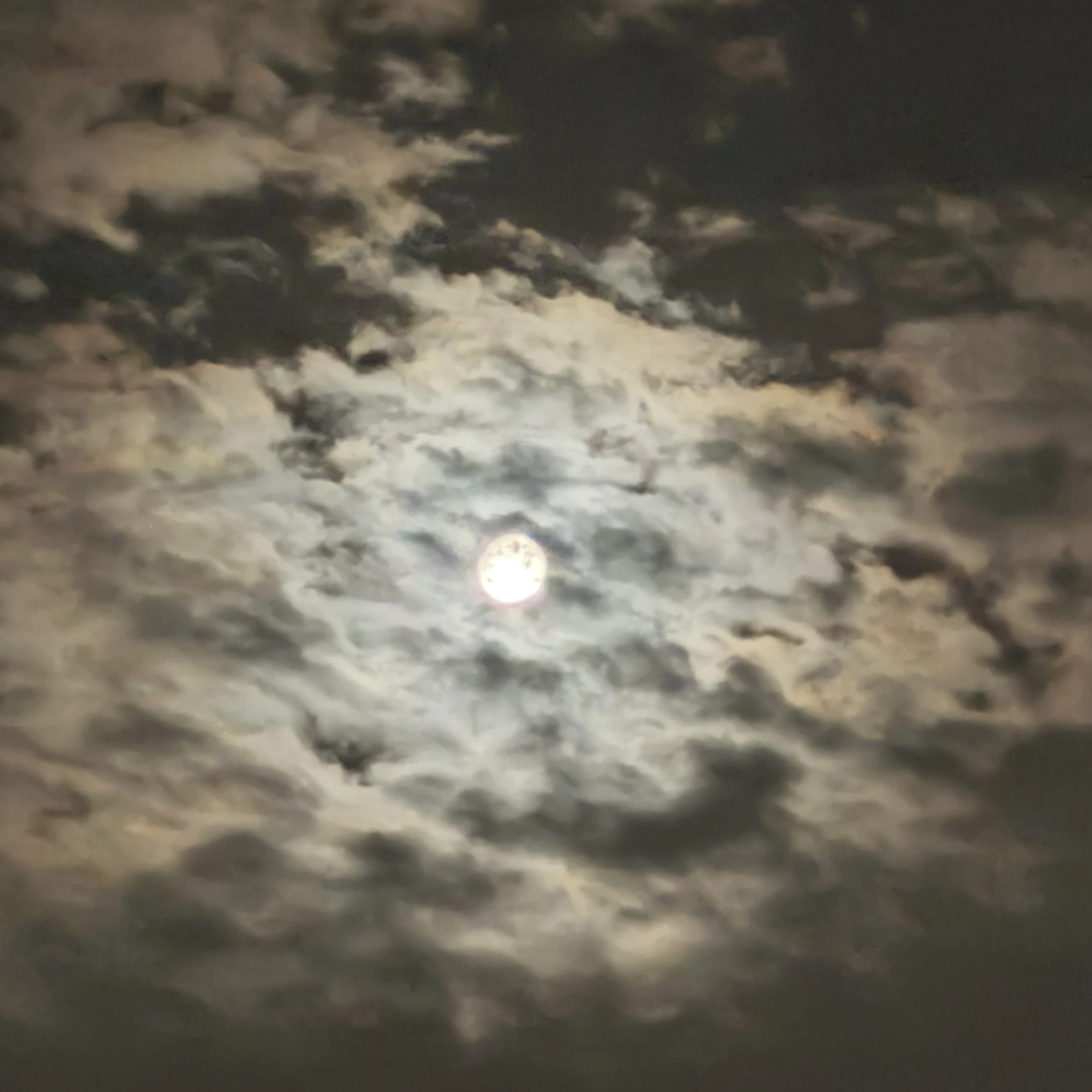리캐