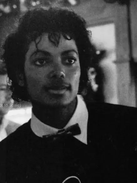 Roseinair의 Michael Jackson ~ 015