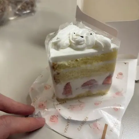 SunnyShed6634의 ⠀.