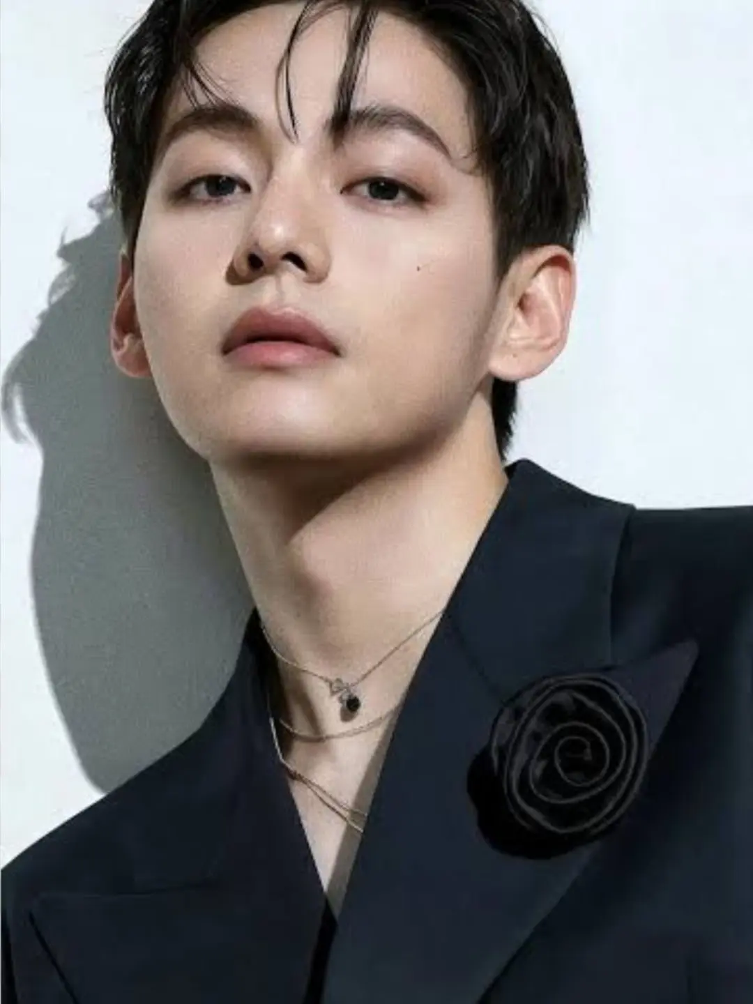 SilverFresh6566의 𝐊𝐈𝐌 𝐓𝐀𝐄𝐇𝐘𝐔𝐍𝐆