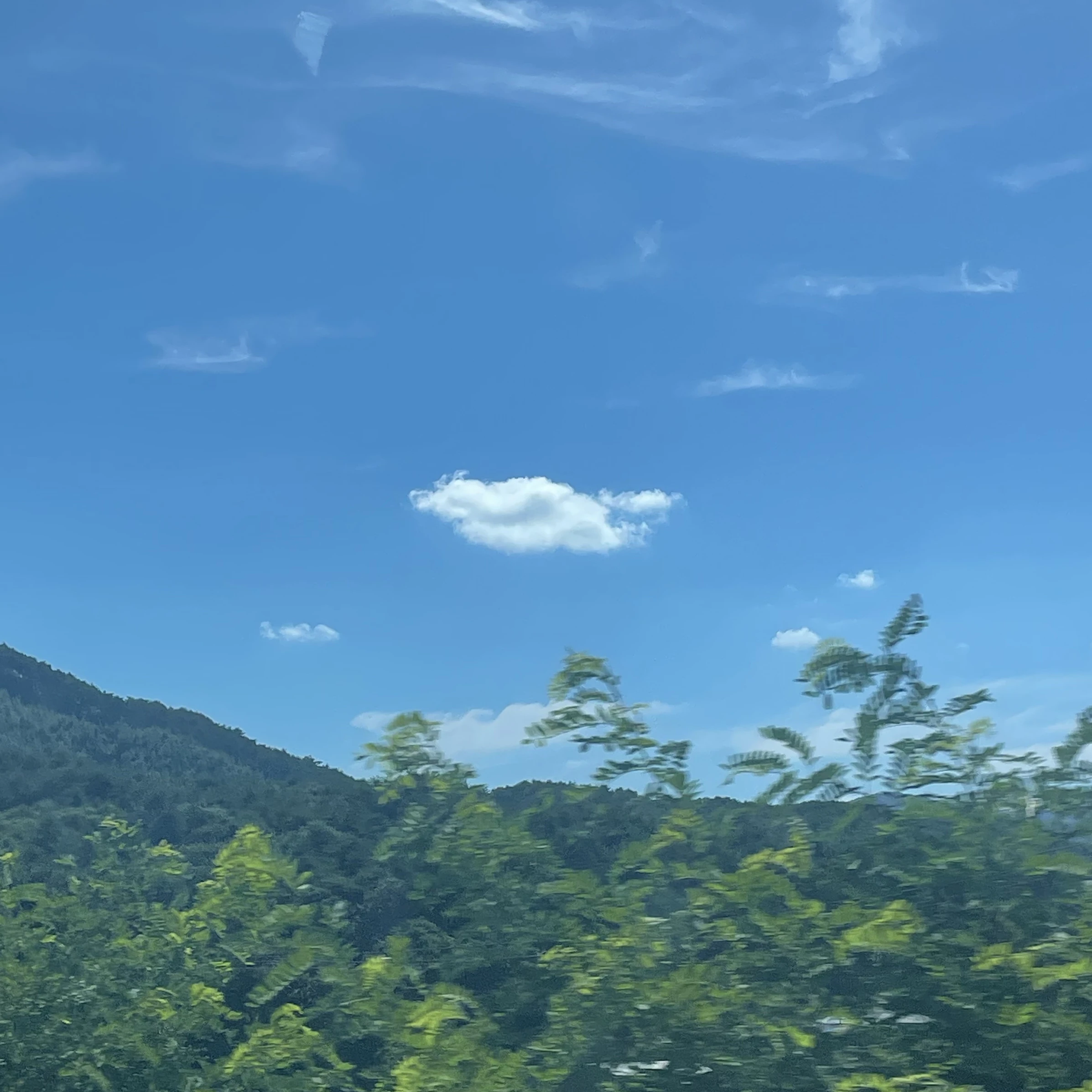 잠뜰tv