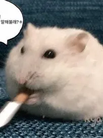 Hhsjd의 컨휴고 여행!!!!+늑대,개인용!!!