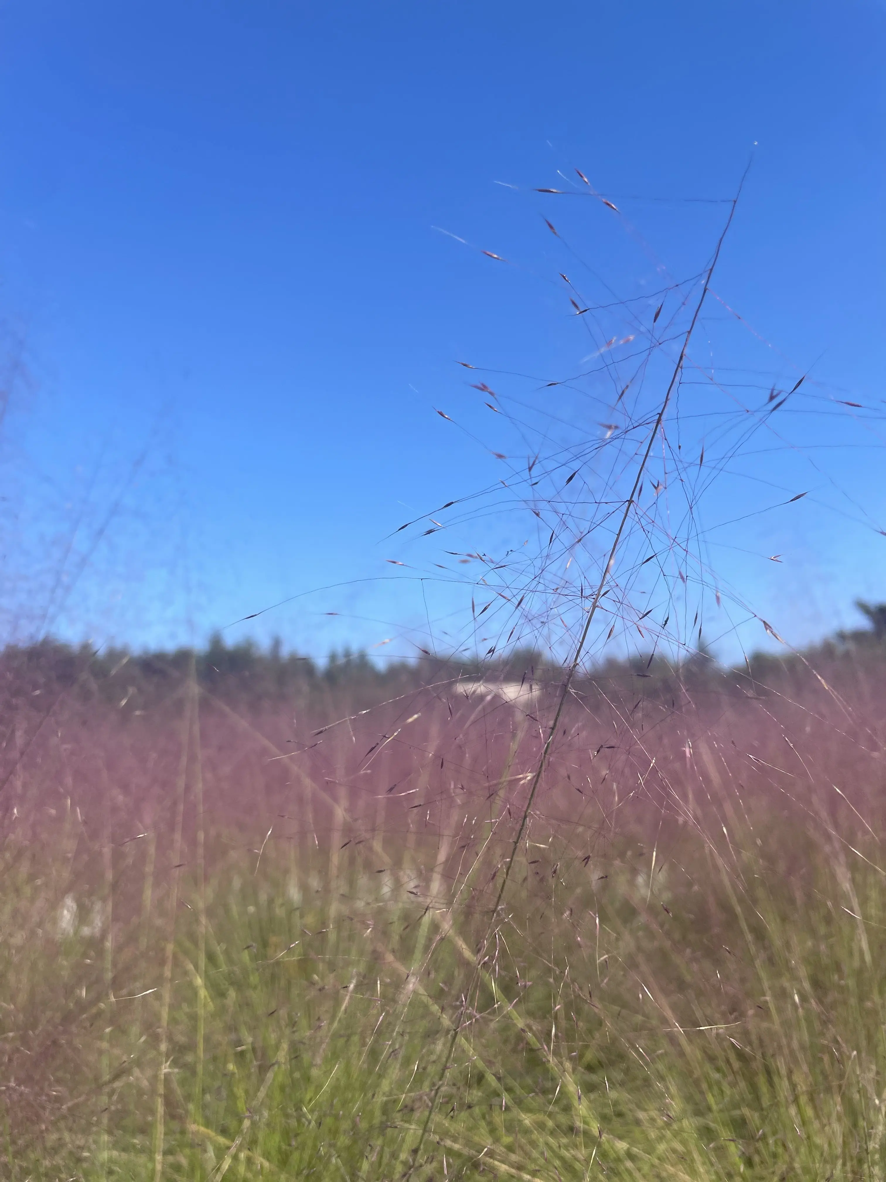 PlacidDiet7206의 유 권[소꿉친구 꼬시기]