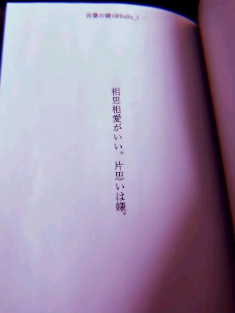 Ruca04010730의 四角関係