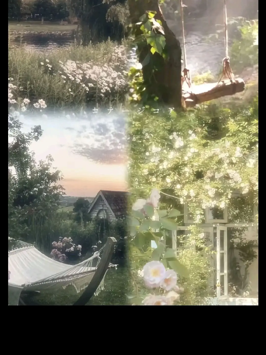 MistyPet9446의 不死川兄弟とイケ男に取り合いされる