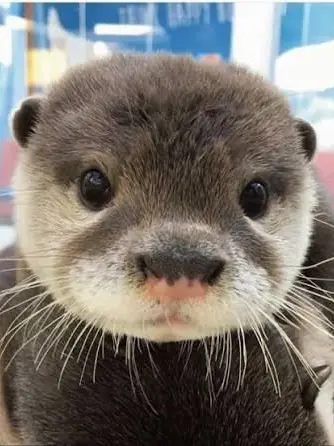 GrassyVoice4269의 팀나빠 정모