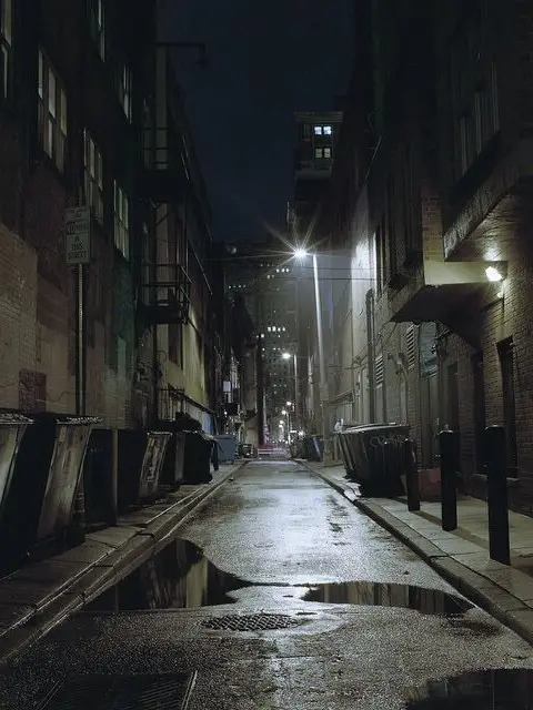 UsefulCrumb2615의 범죄도시