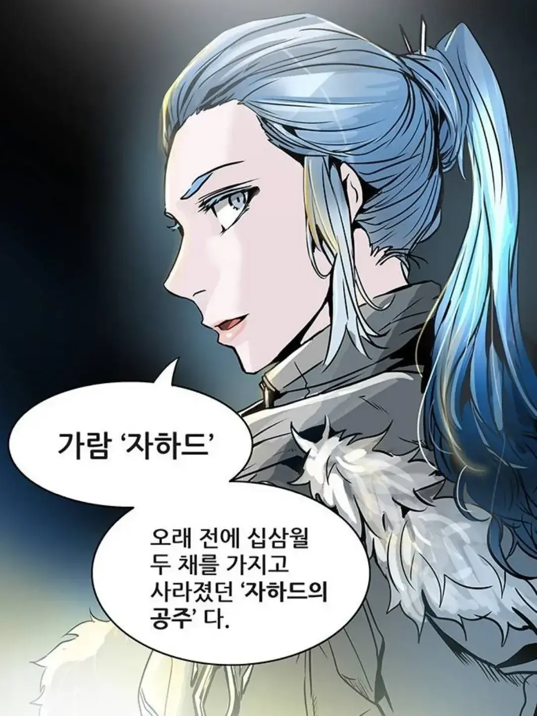 UsableBog6880의 가람 자하드