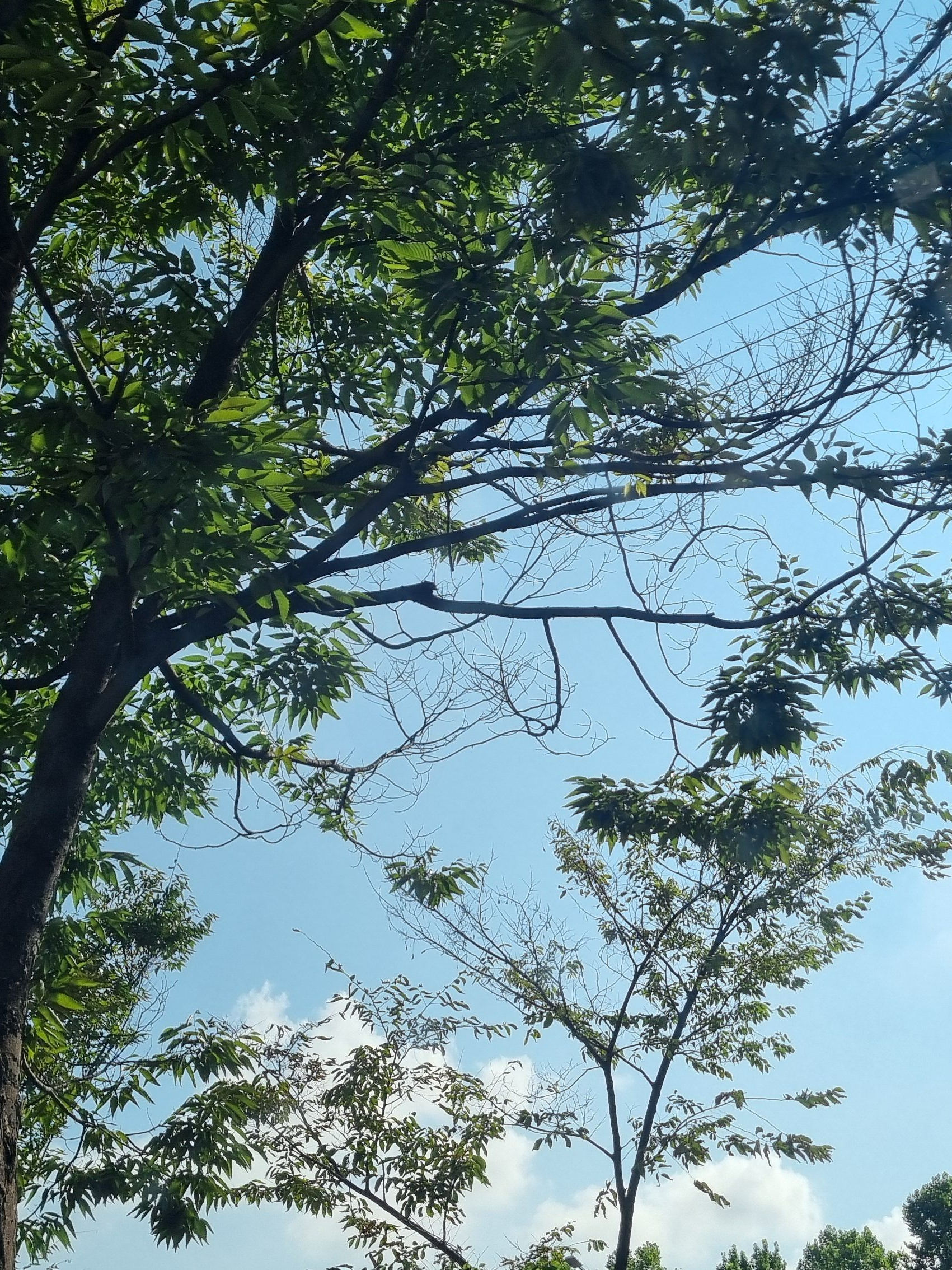 내 검에 악령이 깃들어있었다;; 대표 이미지