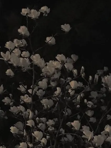 LEMONTANGADE의 최지우
