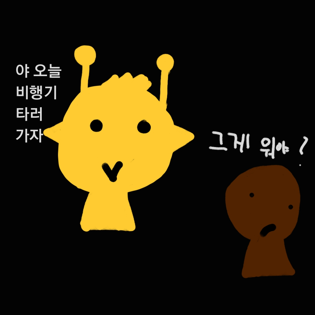 스프런키 비행기 대표 이미지