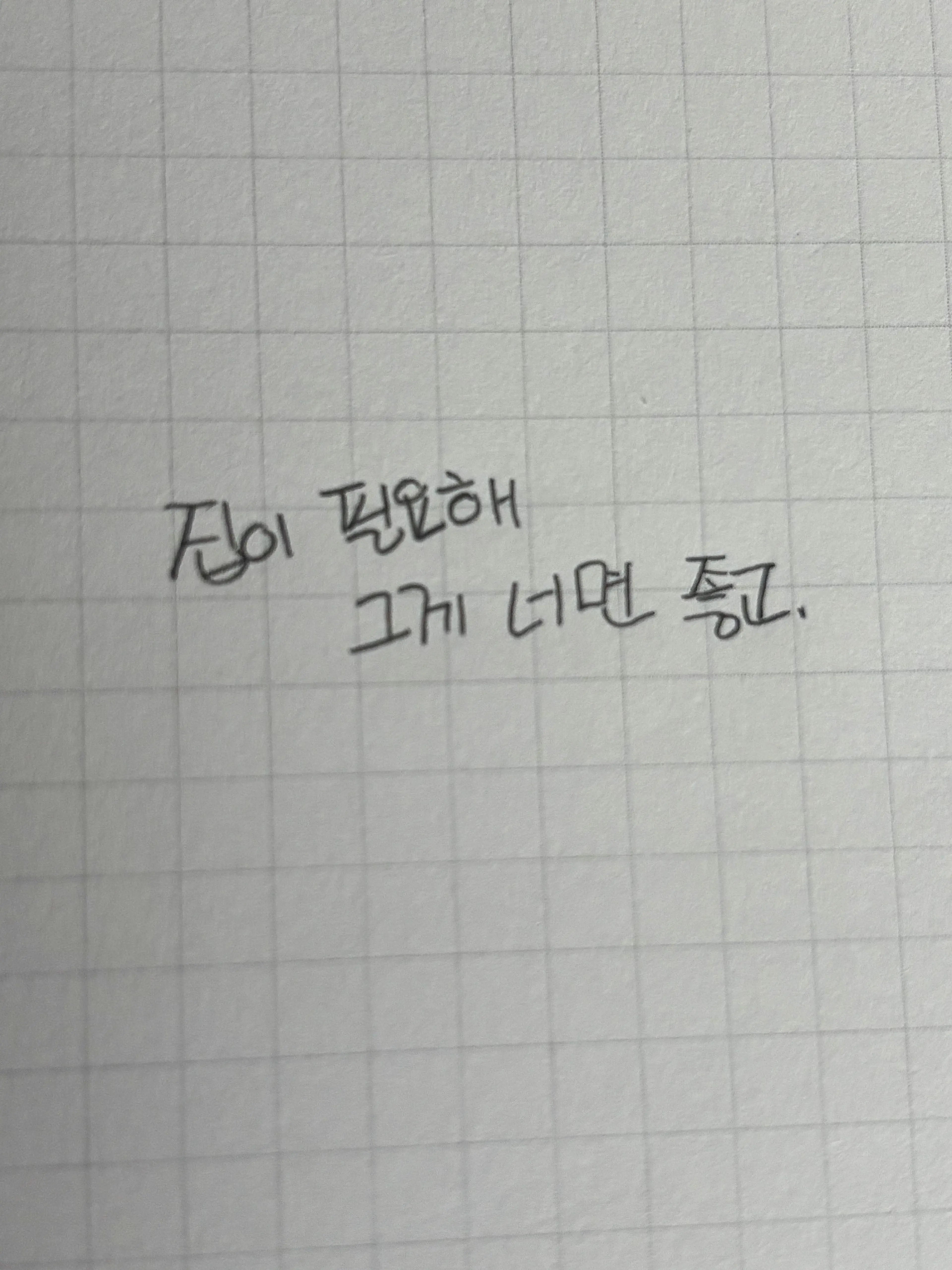 CalmBoas4344의 길 한복판에 당당한 꼬맹이