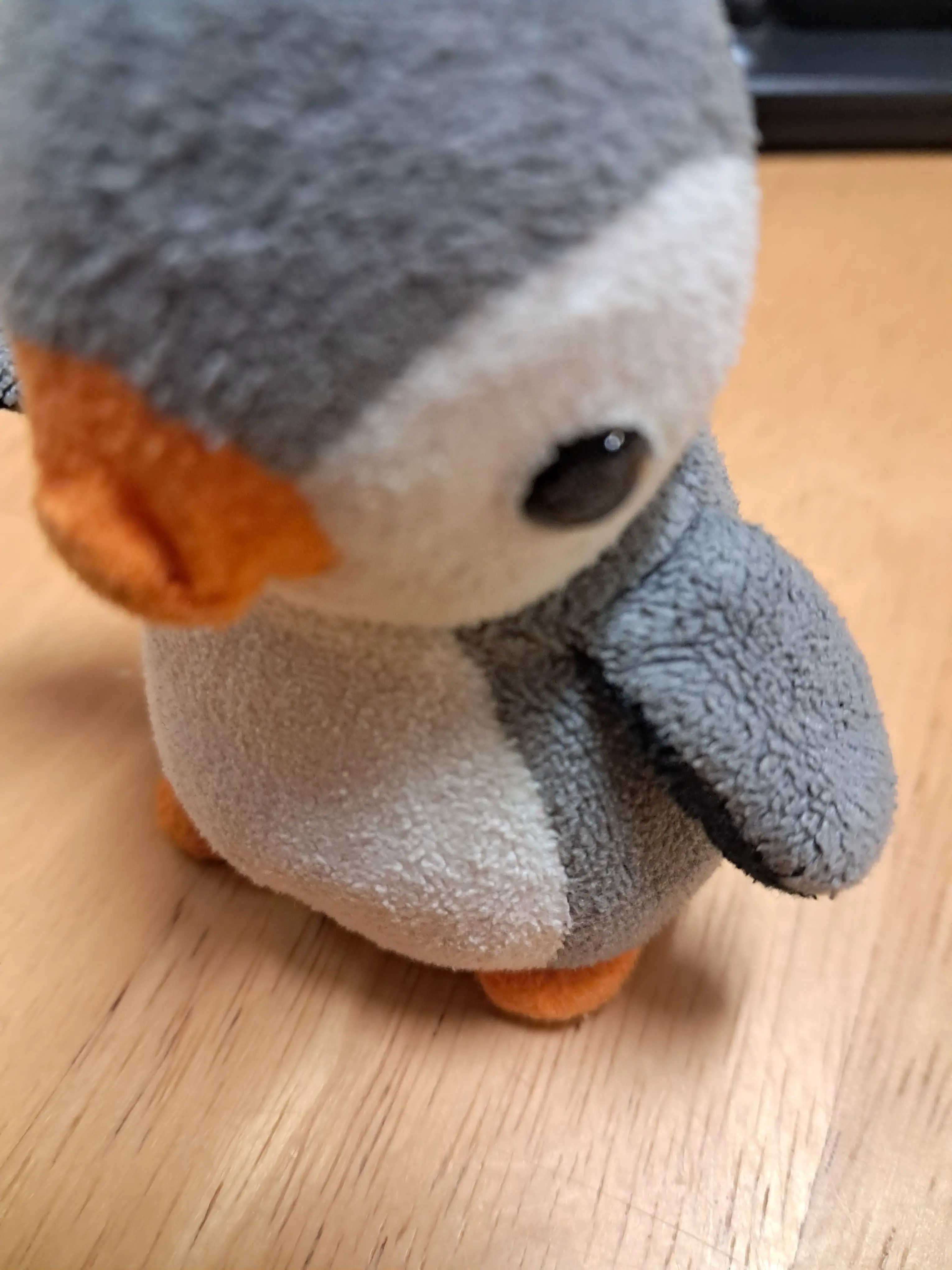 fty의 펭귄과 함께