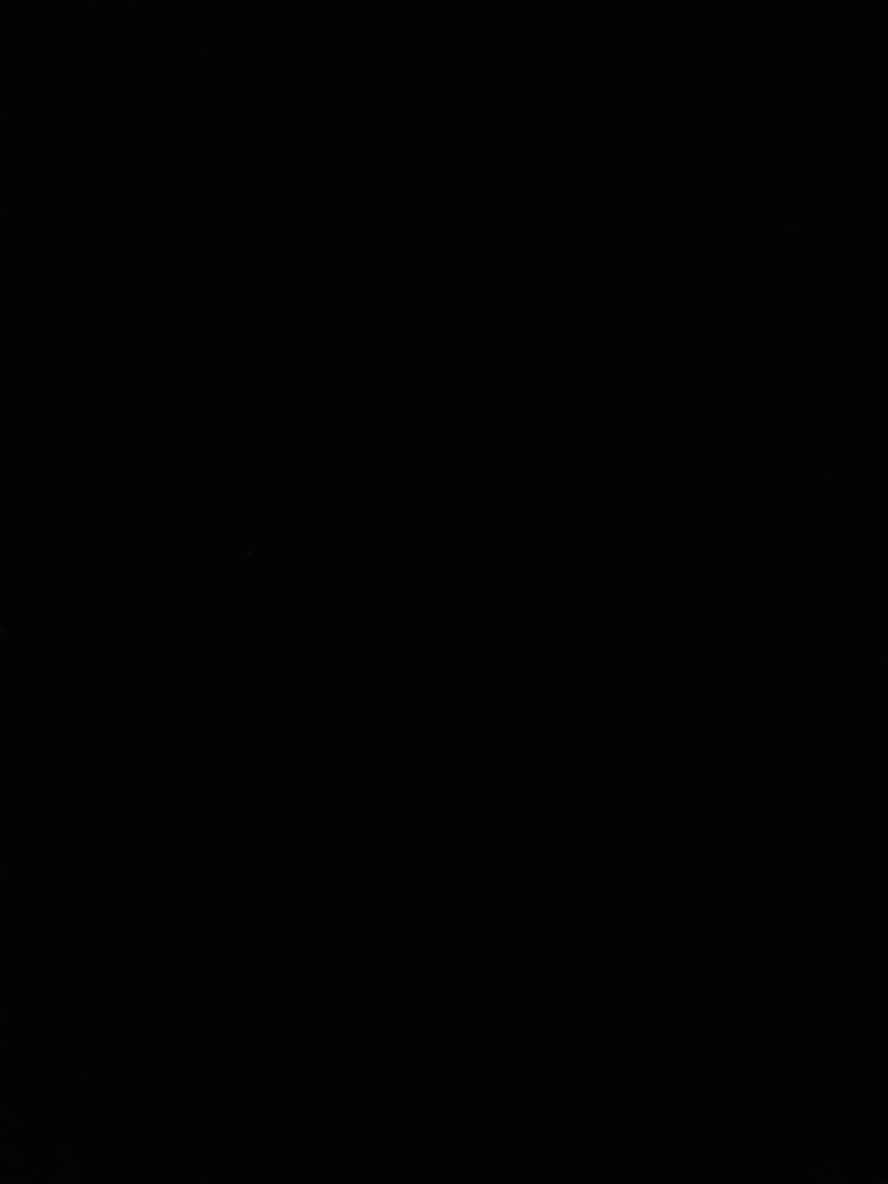 MagicYawn0704의 스키즈+여우