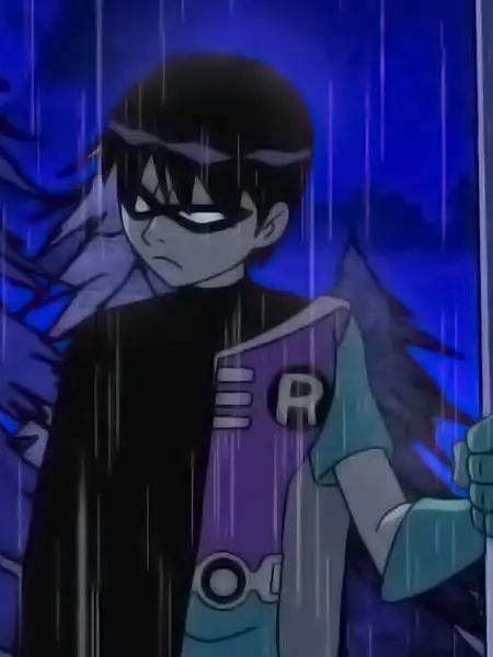 IdleEpoch2877의 Robin