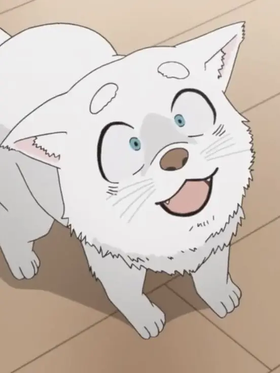 R-Colon0529의 貴方はトリプルフェイスの男の犬