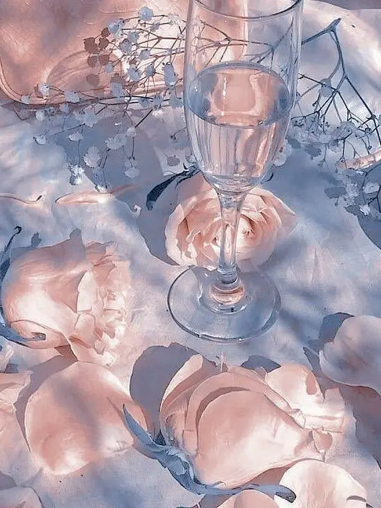 MIGIOTA의 人気なお姉ちゃん達