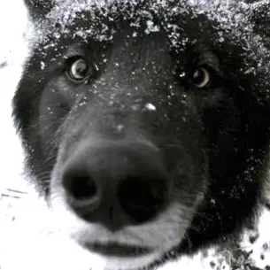 GuiltyBall3112의 ㅂㅂㅊ