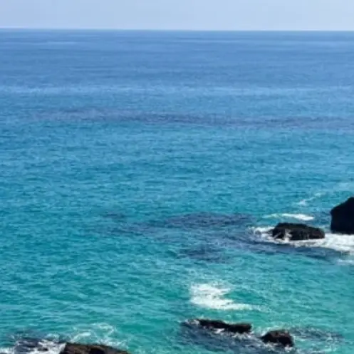 likeoceanfish의 THE OUTDOORS
